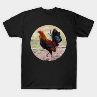 the rooster T-Shirt